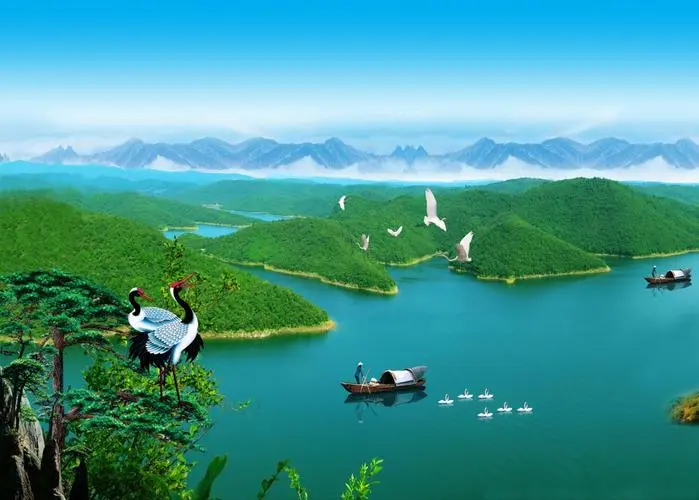 创新高端